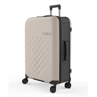 アントレックス Flex 360 畳める スーツケース 100L グレー 850031170490 1個（直送品）