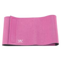 アルインコ ダイエットサポーター WBN223 1箱（直送品）