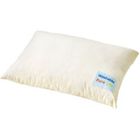 ブレイヴ 洗える清潔枕 WPL4770 1袋（直送品）