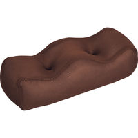 アストロ 丸ごと洗える足枕 304-21 1箱（直送品）