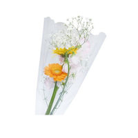 精工 フラワーキャップ#305530HC 100枚 2100832 1セット(100枚)（直送品）