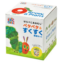 ひまわりの種サマ御依頼品！新浜レオン様セット SN04 ひまわり (S)｜三英貿易株式会社