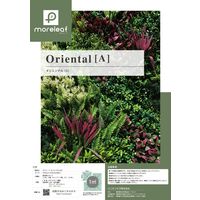 ユニオンビズ moreleaf orientalA ML-O-A 縦500mm×横500mm　1セット(4枚)（直送品）