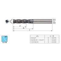 住友電工ハードメタル チップ WBGT060104L-FY AC1030U 1セット(10PC)（直送品）