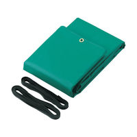 トラスコ中山 TRUSCO トラックシートα 2t用 幅2300mmX長さ3.6 TS-2TA GN 1枚 126-0928（わけあり品）