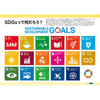 全教図　SDGsって何だろう？ ポスター版1450600　1組（直送品）