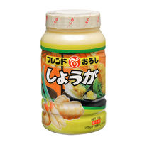 テーオー食品（株） [冷蔵]テーオー食品 フレンドおろししょうが 1kg×3個 4902084036325（直送品）