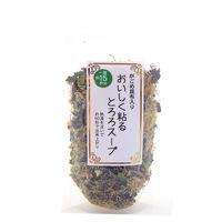 山根食品 おいしく粘るとろろスープ 60g×2個 4903119203965（直送品）