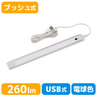 朝日電器株式会社 ＬＥＤ多目的灯ＵＳＢ　プッシュ ALT-USB2030PS(L) 1個
