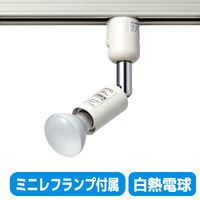 朝日電器株式会社 ライティングバー用ライト LRS-BMR40C(IV) 1個（直送品）