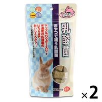 うさぎのおやつ 小動物用 乳酸菌 85g 2袋