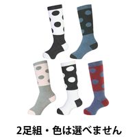 north paek（ノースピーク） ジュニア ソックス アソート MP690