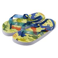 XP[^[ SDBE18 r[`T_ (18cm) DINOSAURS PICTURE BOOK 634314-SDBE18 1iij