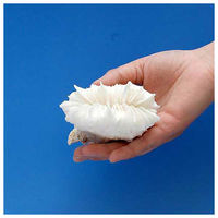 リーフ かざりサンゴ タイプI ミズタマサンゴ系 形状お任せ 502714 1個（直送品）