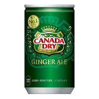 【160mlミニ缶】コカ・コーラ カナダドライ ジンジャーエール 160ml 1箱（30缶入）（わけあり品）