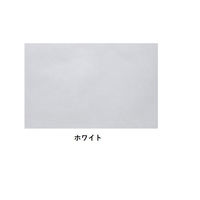 三和 不織布ランチョンマット　ホワイト FWC-10-1-25 1箱(25枚入)（直送品）