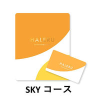 大和 1個〈SKY〉 HALERU サステナブルギフトカタログ YM476 1個（直送品）