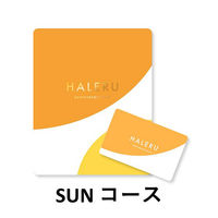 大和 1個〈SUN〉 HALERU サステナブルギフトカタログ YM475 1個（直送品）