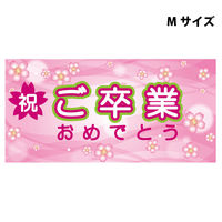 グリーンクロス スチレンボードポップＭサイズ　ＳＢＰＭー８　ご卒業おめでとう　1枚（直送品）