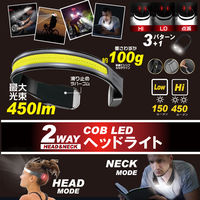 ヒロ・コーポレーション 2WAY　COB　LEDヘッドライト　HDL-RHL02-BK　12個（直送品）