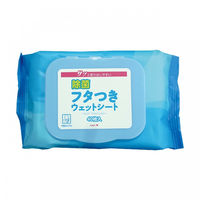 Amazon.co.jp: 【幕張文具4A】除菌 ウエットシート 30枚入×12個