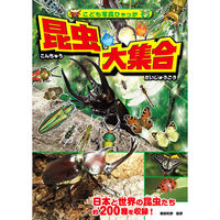 永岡書店 昆虫大集合 43519 3冊（直送品）