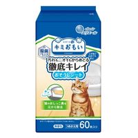 エリエール キミおもい 徹底キレイおそうじシート 除菌アルコール 詰め替え 60枚入 1個 大王製紙