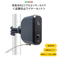 ホームテイスト 乾電池式どこでもセンサーカメラ　盗難防止ワイヤーセット SH-17-ML17 1台（直送品）
