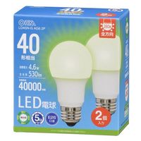 オーム電機 LED電球 E26 40形相当 昼白色 2個入 06-5518 1個（直送品）