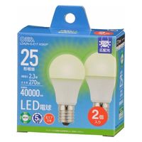 オーム電機 LED電球小形E17 25形相当 昼白色 2個入 06-5537 1個（直送品）