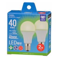 オーム電機 LED電球小形E17 40形相当 昼白色 2個入 06-5543 1個（直送品）