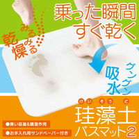 珪藻土バスマット【2】L HBM-001 1枚 ヒロ・コーポレーション（直送品）