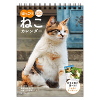 永岡書店 2024年　ほっこりねこ カレンダー 卓上書き込み式　B6タテ 64437 1冊（直送品）