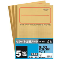 文運堂 学習帳　5ミリ方眼　3冊組 3P-5M 3セット（直送品）