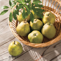 ＜2023年お歳暮＞アデリー ラ・フランス［１．８ｋｇ］ fw-lf1.8kg 1箱（直送品）