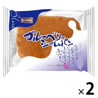 【ワゴンセール】KOUBO ブルーベリージャムパン 1セット（2個入）パネックス ロングライフパン