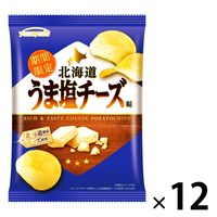 ポテトチップス北海道うま塩チーズ味 12袋 山芳製菓 スナック菓子 北海道産 新じゃが