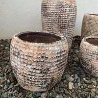 杉田エース SERAXレプタイルポット D15.5 H13.5 CWW694709 1個（直送品）