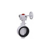 10L2ーN-CN FCDナイロンライニング/ナイロンライニング ギア式バタ弁【NBR】