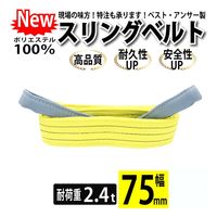 ベストアンサー スリングベルト 両端アイ形 ７５ｍｍ幅 ２本セット sb-75mm-10m-2p（直送品）