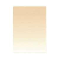 共栄プラスチック ニュアンスカラー下敷 B5 ミルクティー NS-B5-04 1セット(1枚×5)