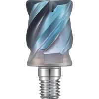 ダイジェット工業 ダイジェット 防振Sヘッド SMSR-4200R30-M10 1個 248-3236（直送品）