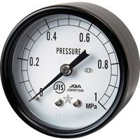 右下精器製造 右下 圧力計 DT R1/4×50×0.25MPa S-130-R-0.25MPA 1個 838-3590（直送品）