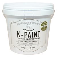 EB K-PAINT ]y 5kg J[L 209410 1ʁiij