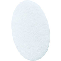 重松製作所 ペイントメイト フィルタ(L)10P入9034565　1セット（直送品）