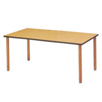 アイリスチトセ 施設用テーブル　WSHタイプ　160×110cm Dブラウン DWT-1611-WSH 1台（直送品）