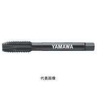 彌満和製作所 ニッケル基合金用ポイントタップ(メートルねじ) ZEN-PP3M5X0.8 1本（直送品）