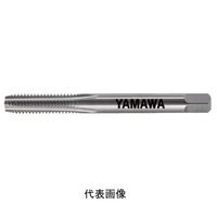 彌満和製作所 鋳鉄用超硬ハンドタップ(メートルねじ) N-CTFCP3M10X13P 1本（直送品）