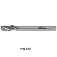 彌満和製作所 ロングシャンク管用テーパねじ用スパイラルタップ 長ねじ LS-SP-PTL1003/8-19 1本（直送品）