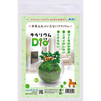 アーテック テラリウムDio 58249 1セット